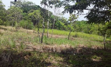 VENDO FINCA PEQUEÑA EN COPECITO EL ESPINO SAN CARLOS PANAMÁ