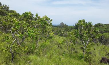 VENDO FINCA PEQUEÑA EN COPECITO EL ESPINO SAN CARLOS PANAMÁ