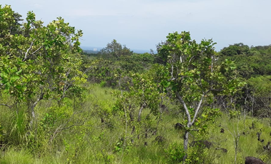 VENDO FINCA PEQUEÑA EN COPECITO EL ESPINO SAN CARLOS PANAMÁ