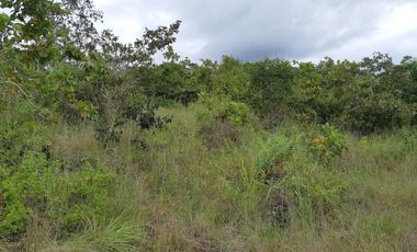 VENDO FINCA PEQUEÑA EN COPECITO EL ESPINO SAN CARLOS PANAMÁ