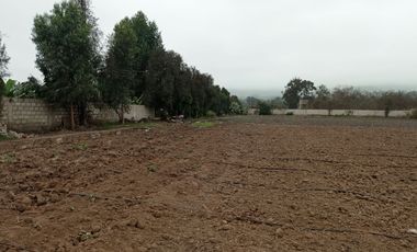 10,000M2 TERRENO CASABLANCA PACHACAMAC