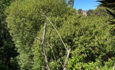 SE VENDE PROPIEDAD EN SAN ANTONIO