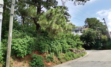998 sqm Residential Lot for Sale in Amparo Heights, Camp 7