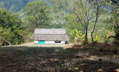 Venta Finca para Ganado y/o Agricultura Angelópolis Antioquia