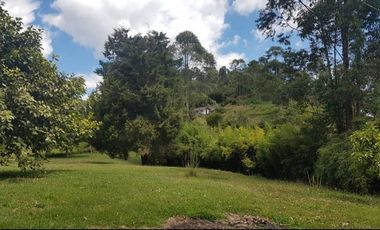 Venta Finca para Ganado y/o Agricultura Angelópolis Antioquia
