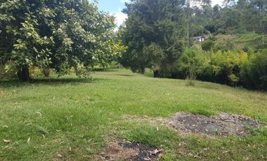 Venta Finca para Ganado y/o Agricultura Angelópolis Antioquia