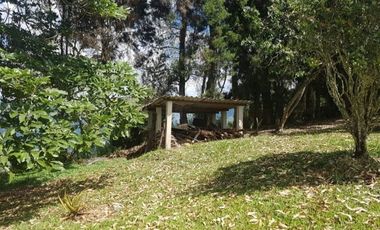 Venta Finca para Ganado y/o Agricultura Angelópolis Antioquia