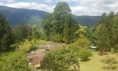 Venta Finca para Ganado y/o Agricultura Angelópolis Antioquia