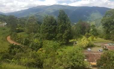Venta Finca para Ganado y/o Agricultura Angelópolis Antioquia
