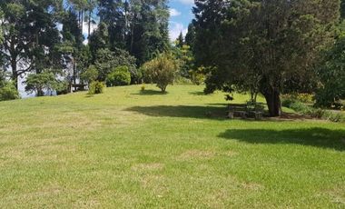 Venta Finca para Ganado y/o Agricultura Angelópolis Antioquia