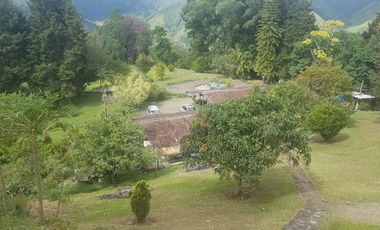 Venta Finca para Ganado y/o Agricultura Angelópolis Antioquia