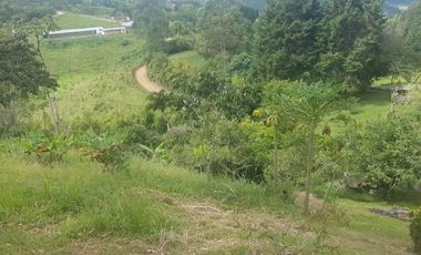 Venta Finca para Ganado y/o Agricultura Angelópolis Antioquia