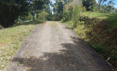 Venta Finca para Ganado y/o Agricultura Angelópolis Antioquia
