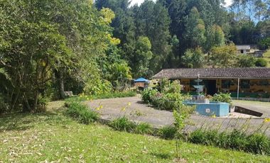 Venta Finca para Ganado y/o Agricultura Angelópolis Antioquia