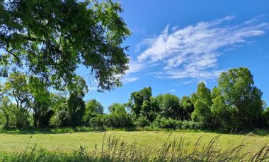 Exclusiva Parcela de 5000m2 en Proyecto a orilla del río Calle Calle, Valdivia