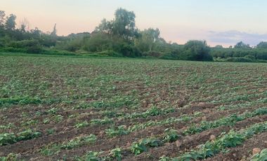 Se vende Parcela agrícola 17 ha, comuna de Rio Claro