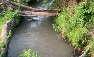 Se vende Parcela agrícola 17 ha, comuna de Rio Claro