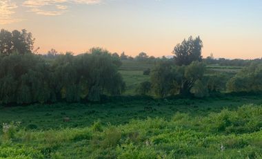 Se vende Parcela agrícola 17 ha, comuna de Rio Claro