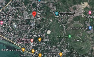 House for Rent located in Dampas District , Tagbilaran City, Bohol