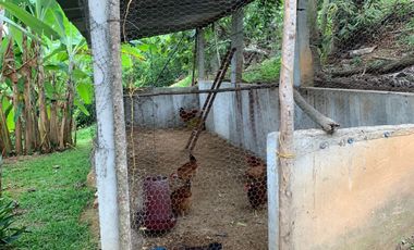 Se Vende Finca en Lebrija Santander