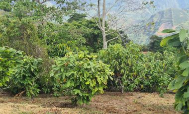 Se Vende Finca en Lebrija Santander