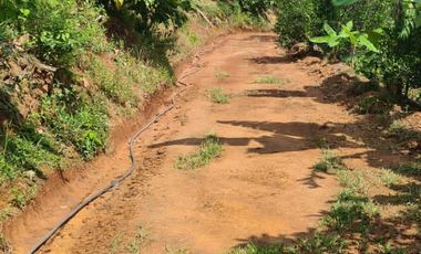 Se Vende Finca en Lebrija Santander