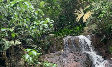 Se Vende Finca en Lebrija Santander