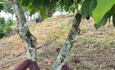 Se Vende Finca en Lebrija Santander