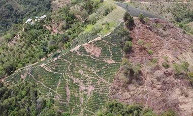 Se Vende Finca en Lebrija Santander