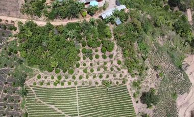 Se Vende Finca en Lebrija Santander