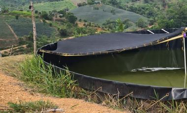 Se Vende Finca en Lebrija Santander