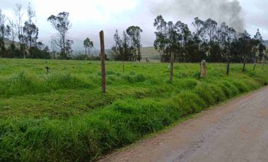 FINCA SUESCA 33 FANEGADAS