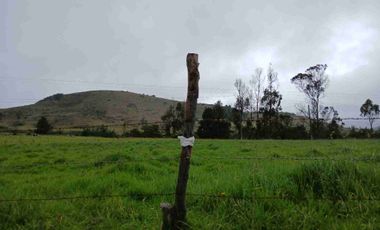 FINCA SUESCA 33 FANEGADAS