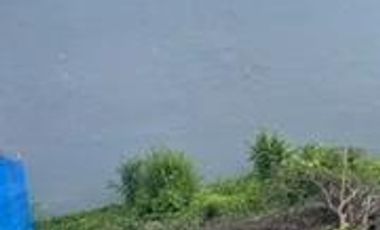 Vacant corner lot at Meadowood Executive Village Panapaan 8 Bacoor Cavite