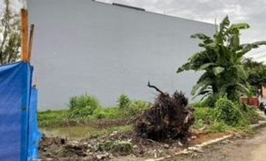 Vacant corner lot at Meadowood Executive Village Panapaan 8 Bacoor Cavite