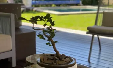 Paraiso Country Club Cuernavaca Casa En Venta Con Recamara En Planta Baja