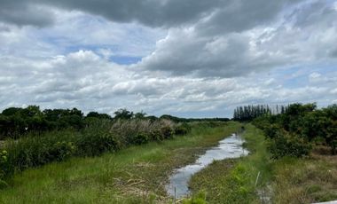 Land for sale, size 4 rai 322 sq wa, located at Don Yai Hom Subdistrict, Mueang District, Nakhon Pathom