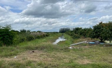 Land for sale, size 4 rai 322 sq wa, located at Don Yai Hom Subdistrict, Mueang District, Nakhon Pathom