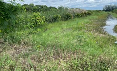 Land for sale, size 4 rai 322 sq wa, located at Don Yai Hom Subdistrict, Mueang District, Nakhon Pathom