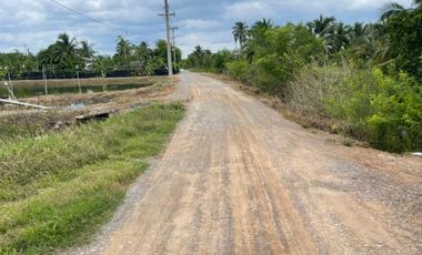 Land for sale, size 4 rai 322 sq wa, located at Don Yai Hom Subdistrict, Mueang District, Nakhon Pathom