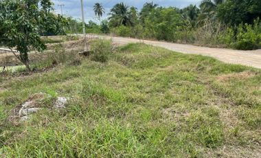 Land for sale, size 4 rai 322 sq wa, located at Don Yai Hom Subdistrict, Mueang District, Nakhon Pathom