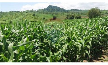 Finca De Venta En Lodana Santa Ana Manabí