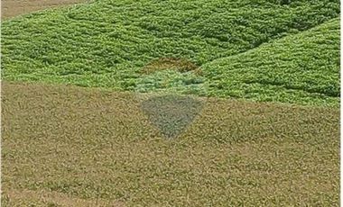 Finca De Venta En Lodana Santa Ana Manabí