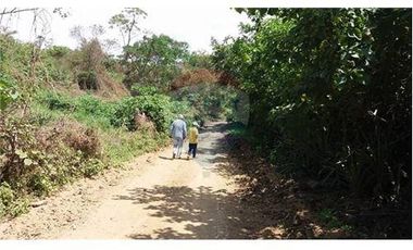 Finca De Venta En Lodana Santa Ana Manabí