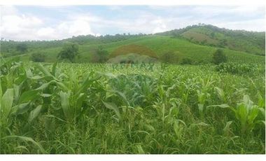 Finca De Venta En Lodana Santa Ana Manabí