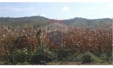 Finca De Venta En Lodana Santa Ana Manabí
