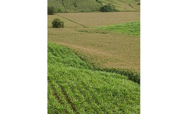 Finca De Venta En Lodana Santa Ana Manabí