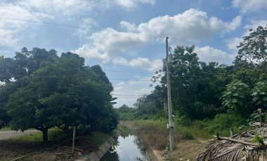 Finca De Venta En Lodana Santa Ana Manabí