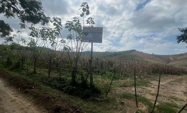 Finca De Venta En Lodana Santa Ana Manabí