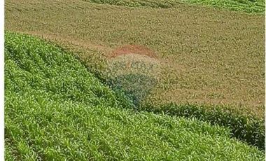 Finca De Venta En Lodana Santa Ana Manabí